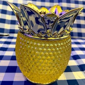 No BBW beautiful pineapple soap holder